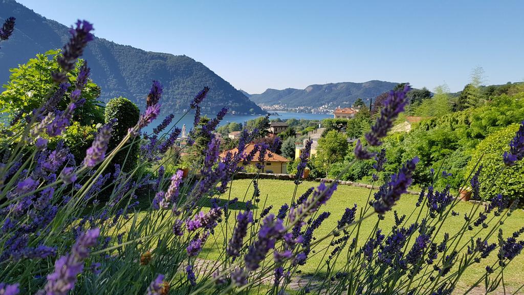 La Finestra Sul Lago تْشيرنوبيو المظهر الخارجي الصورة